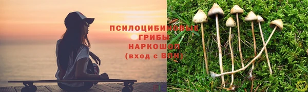 круглые Каменка