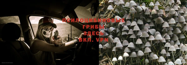 твердый Каменногорск