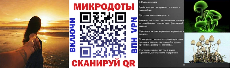 Псилоцибиновые грибы Magic Shrooms  Купить закладки  Лукоянов 